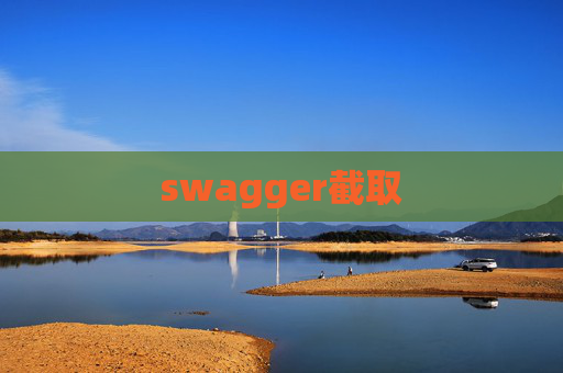 swagger截取